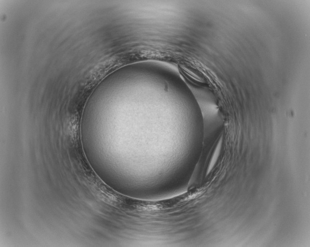 X0000087030513200704301342