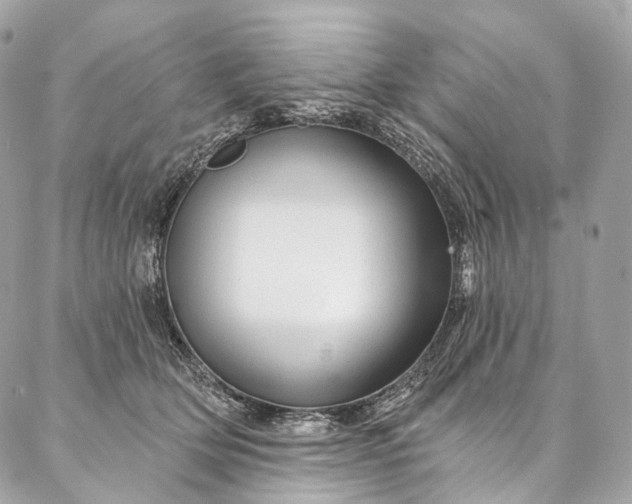 X0000087030514200704301342