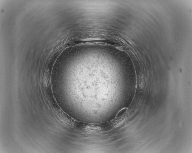 X0000087030515200704301342