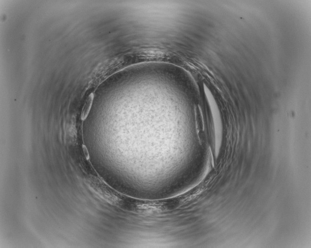 X0000087030516200704301342