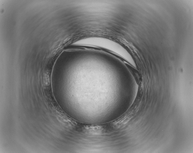 X0000087030517200704301342