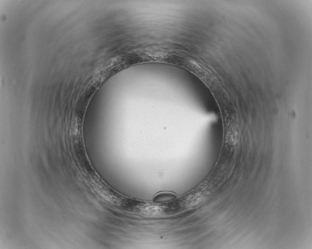 X0000087030518200704301342