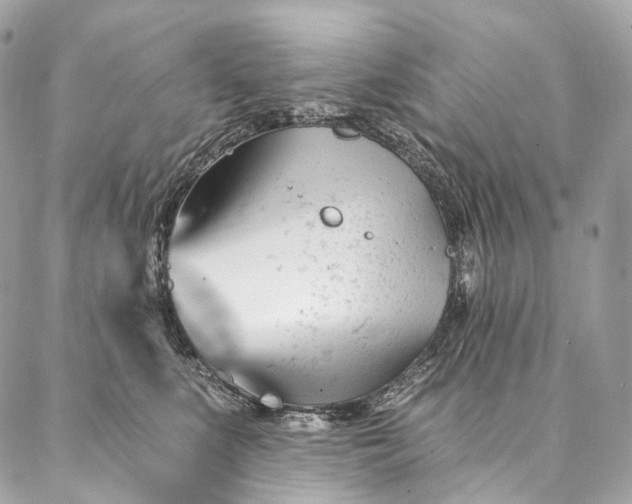 X0000087030519200704301342