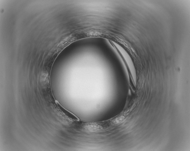 X0000087030521200704301342