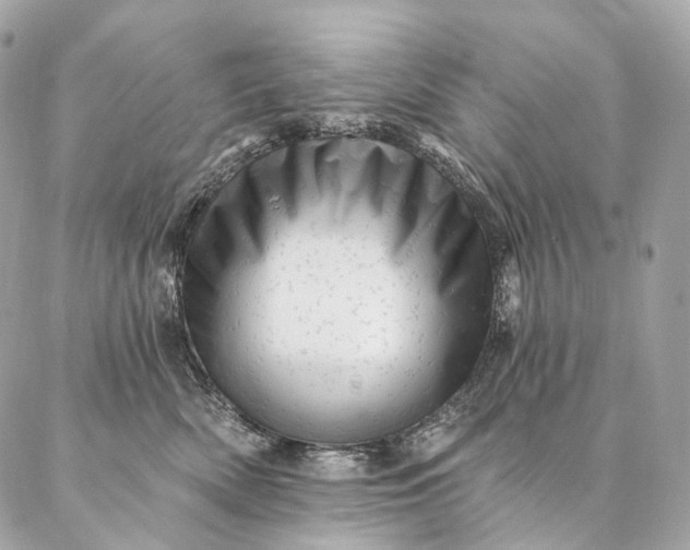 X0000087030522200704301342