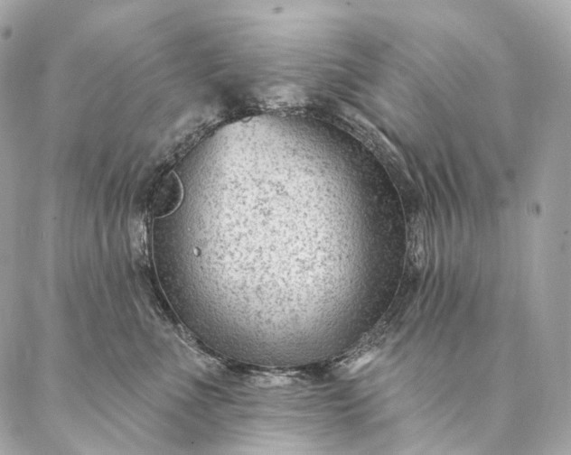 X0000087030523200704301342