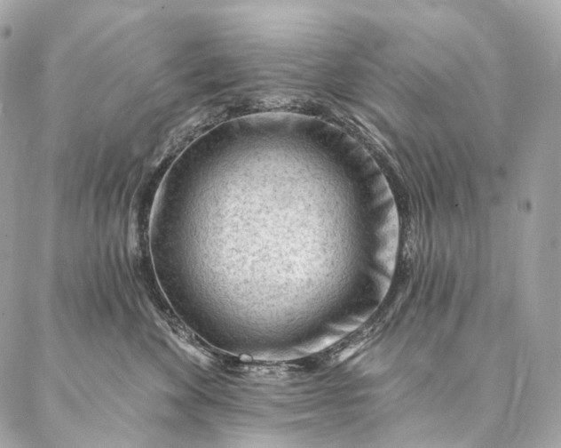 X0000087030524200704301342