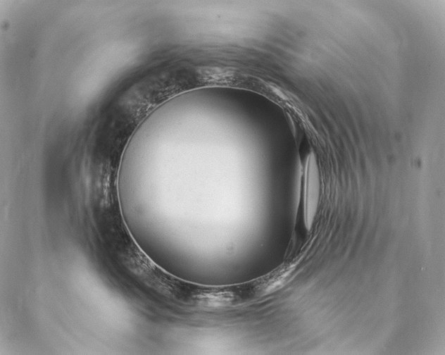 X0000087030525200704301342