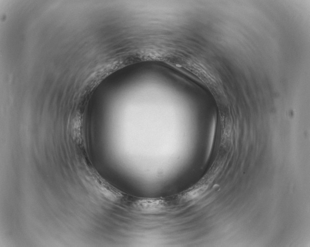 X0000087030526200704301342