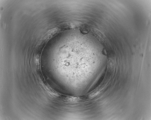 X0000087030527200704301342