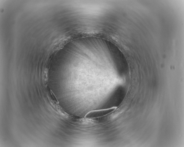 X0000087030528200704301342