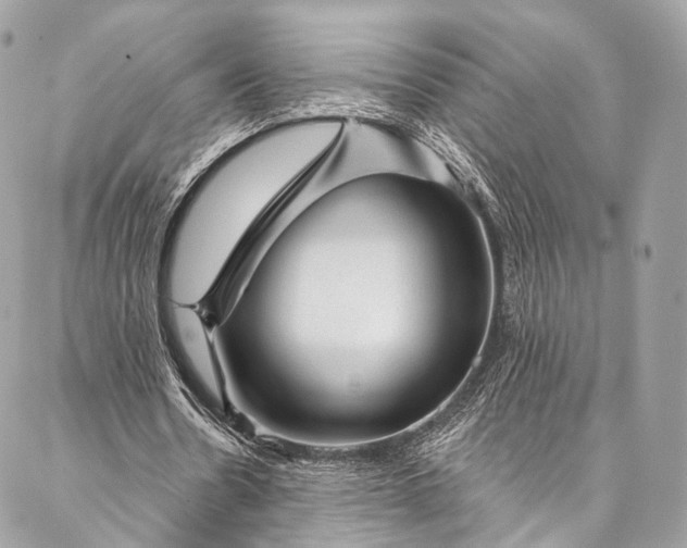 X0000087030530200704301341