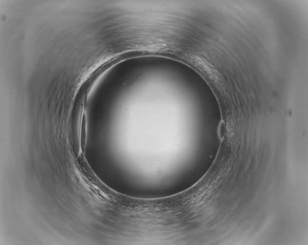 X0000087030532200704301341