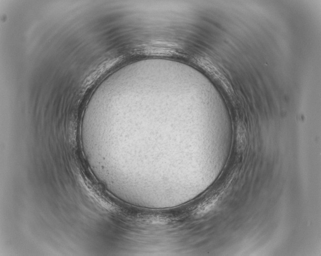 X0000087030533200704301341