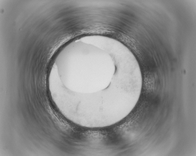 X0000087030534200704301342