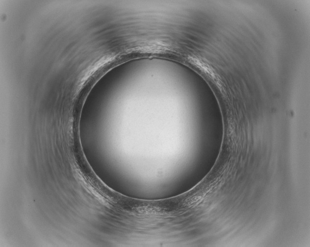 X0000087030535200704301342