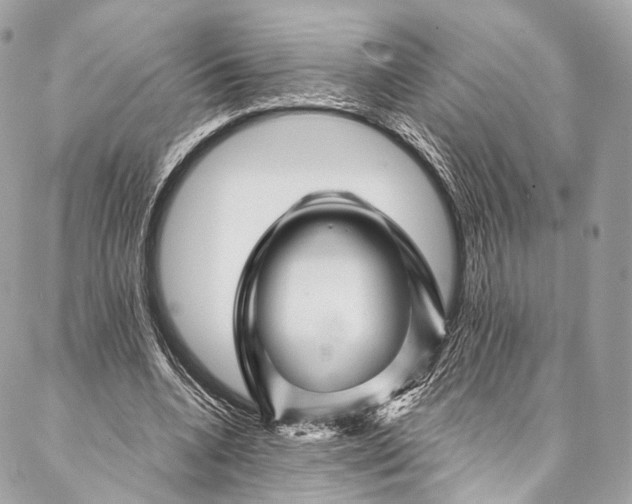 X0000087030536200704301342