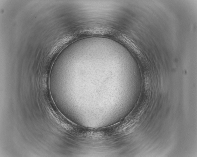 X0000087030537200704301342