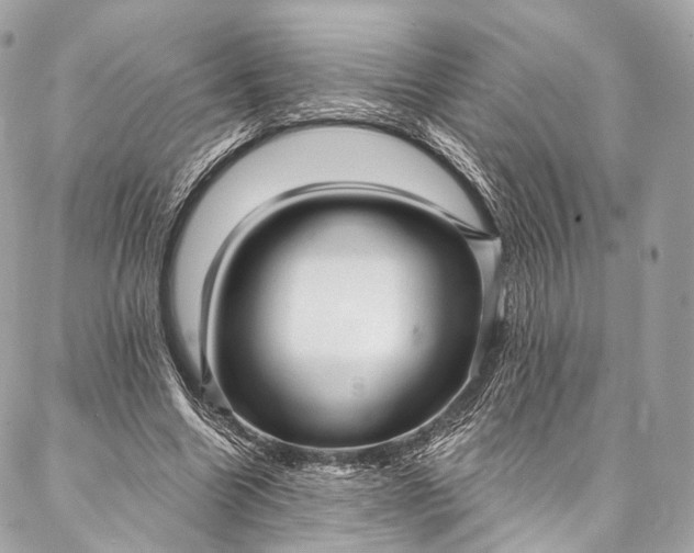 X0000087030538200704301342