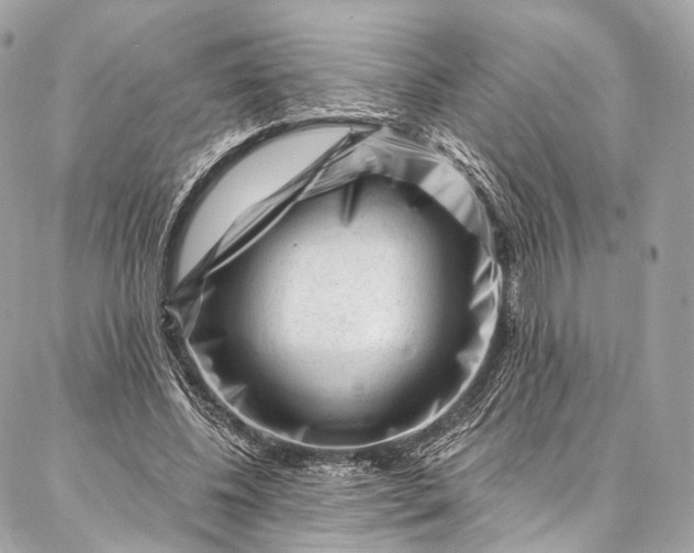 X0000087030540200704301342