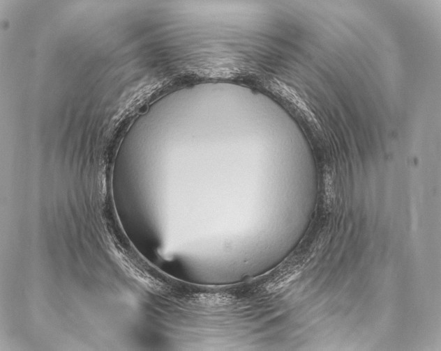 X0000087030541200704301342