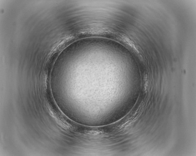 X0000087030542200704301342