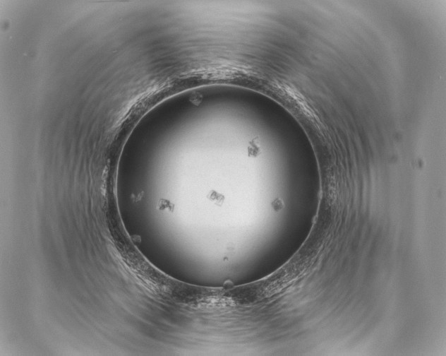 X0000087030543200704301342