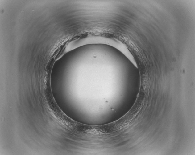 X0000087030544200704301342