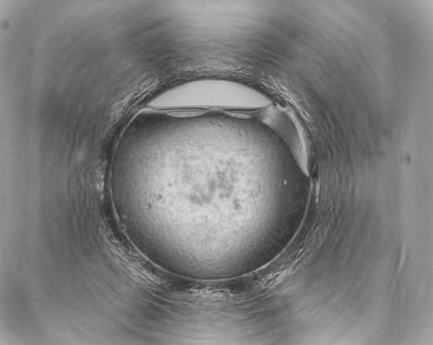 X0000087030545200704301342