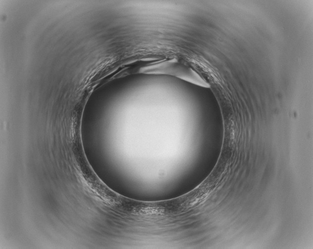 X0000087030546200704301342