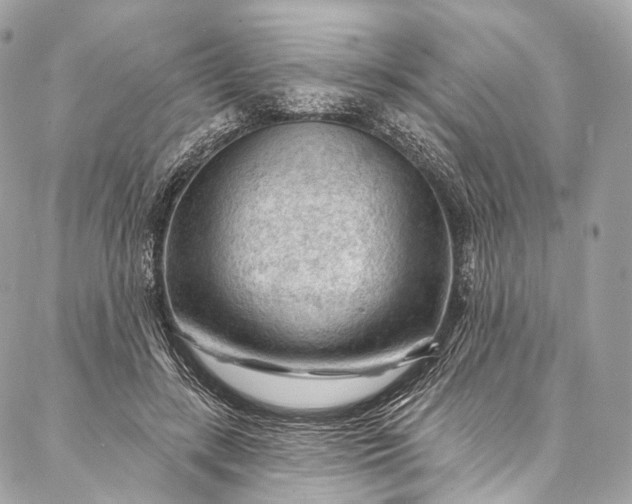 X0000087030547200704301342