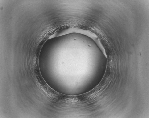 X0000087030548200704301342