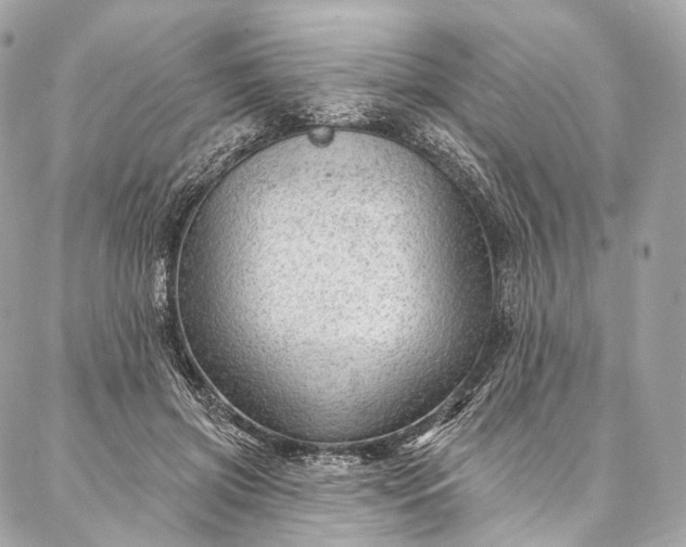 X0000087030549200704301342