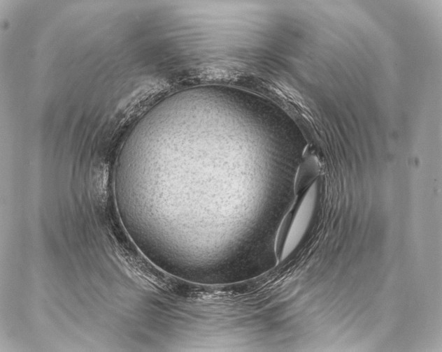 X0000087030550200704301342