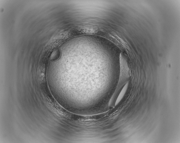 X0000087030553200704301342