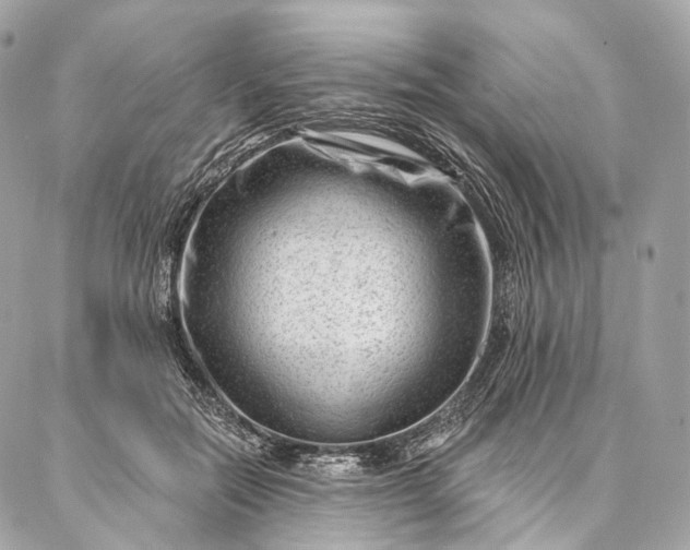 X0000087030554200704301342