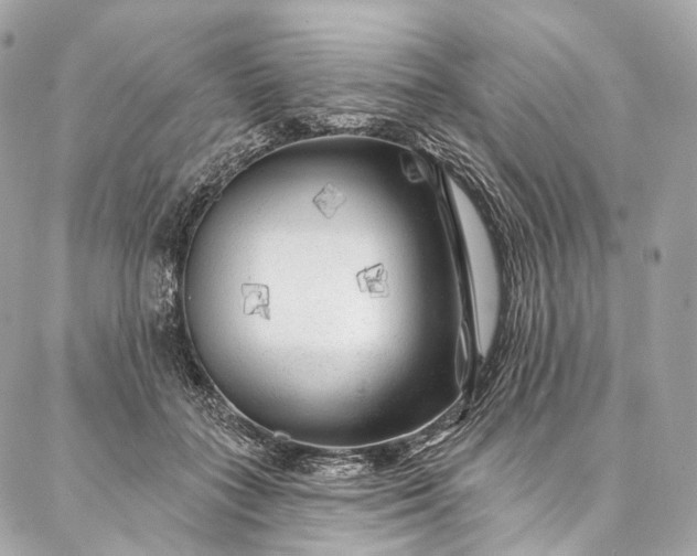 X0000087030555200704301342