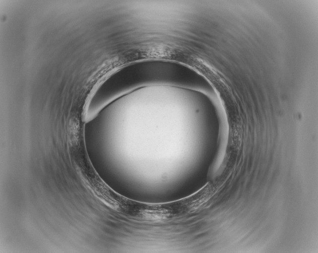 X0000087030556200704301342