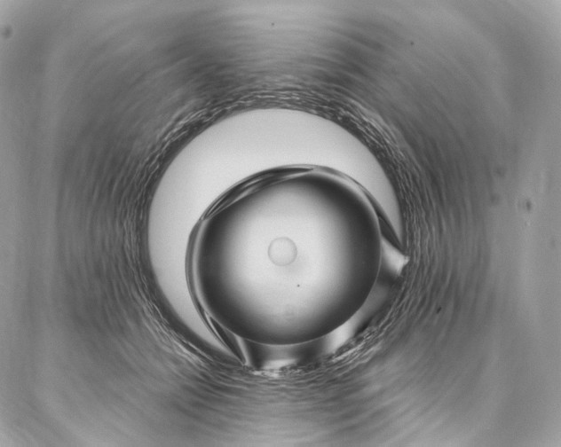 X0000087030558200704301342