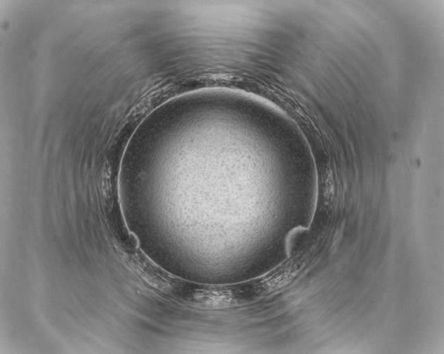 X0000087030559200704301342