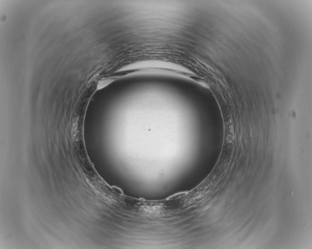 X0000087030560200704301342