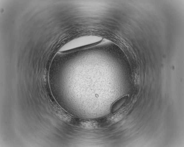 X0000087030561200704301342