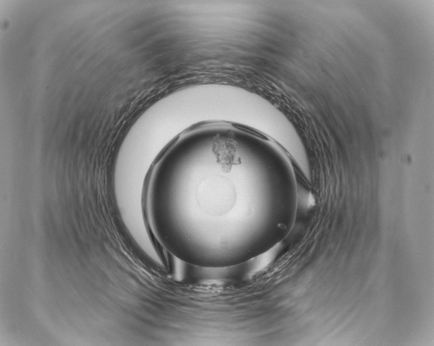 X0000087030562200704301342