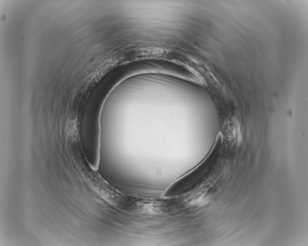 X0000087030564200704301342