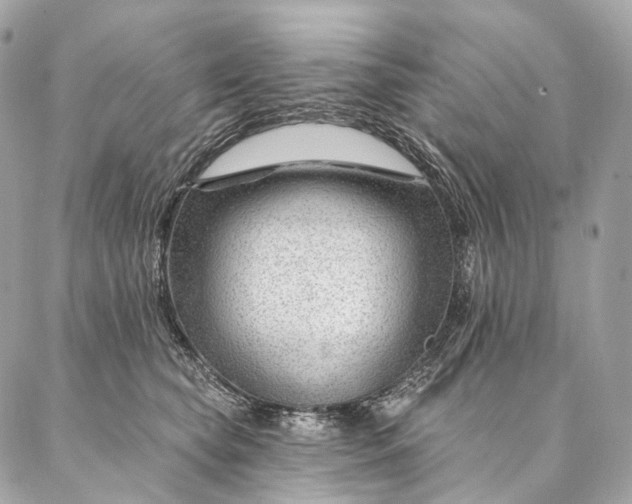 X0000087030565200704301342