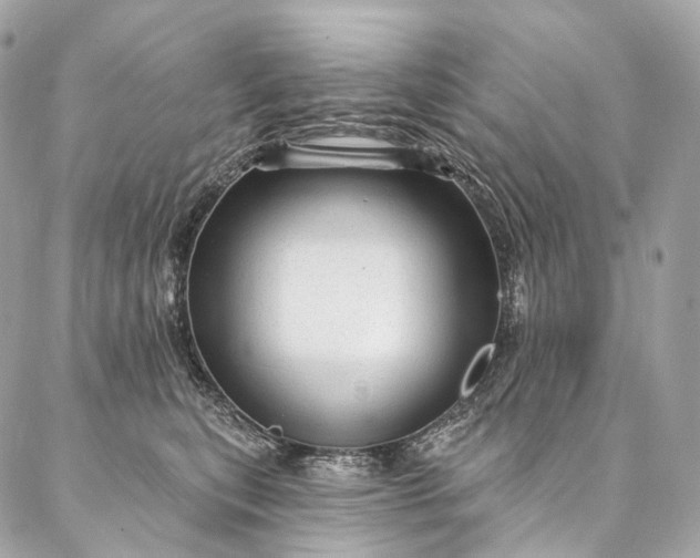 X0000087030567200704301342