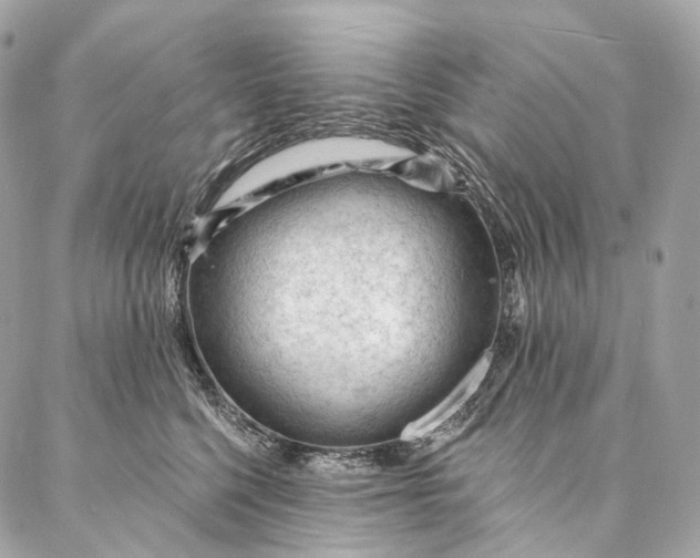 X0000087030568200704301342