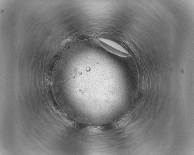 X0000087030569200704301342