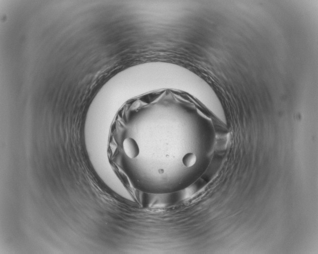 X0000087030570200704301342