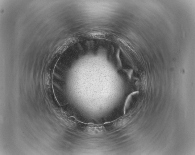 X0000087030571200704301342